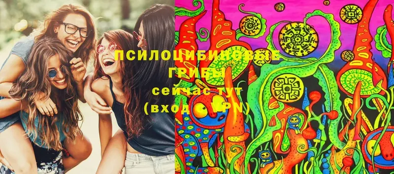 сколько стоит  блэк спрут ТОР  Псилоцибиновые грибы Cubensis  Ярославль 